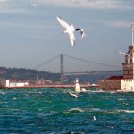 istanbul bosphorus and brige